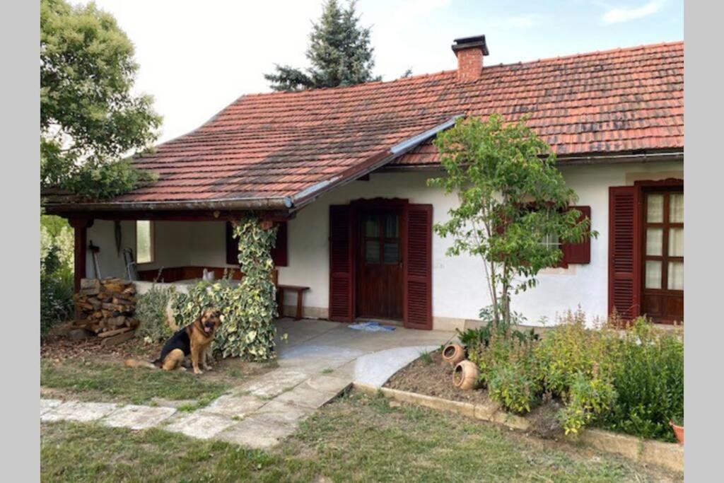 Oaza Miru V Sozitju Z Naravo Villa Sveti Jurij ob Scavnici Dış mekan fotoğraf